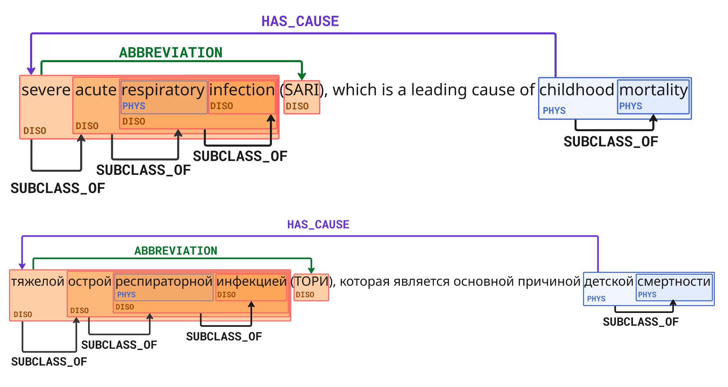 BioNNE-R demonstration figure